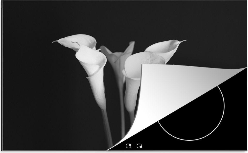 KitchenYeah Herdabdeckplatte Eine Nahaufnahme von Calla-Lilien-Blüten auf schwarzem Hintergrund , 81x52cm, Küche Deko, Glaskeramikkochfeld Herd...