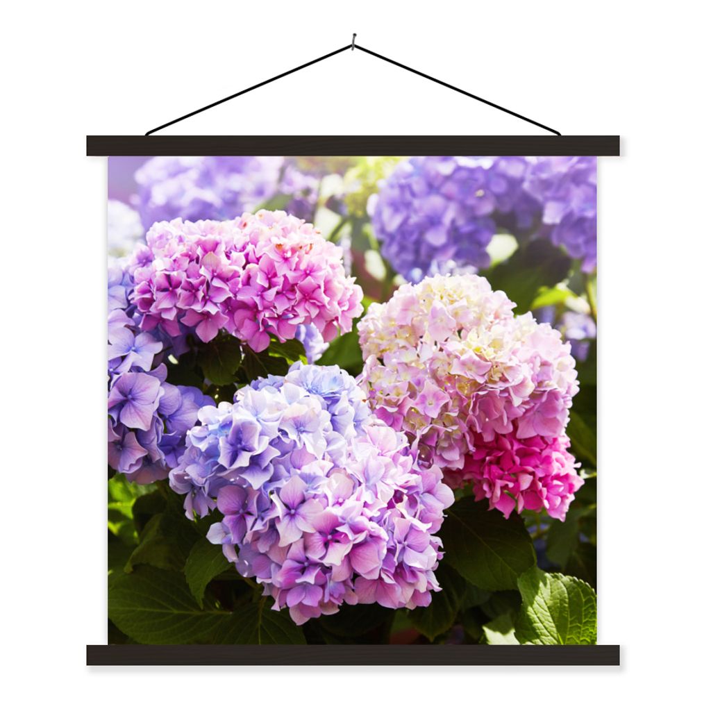MuchoWow Textilposter Blumen - Hortensie - Rosa - Blätter - Sonne 90x90 cm mit schwarzem Rahmen - Magnetisches