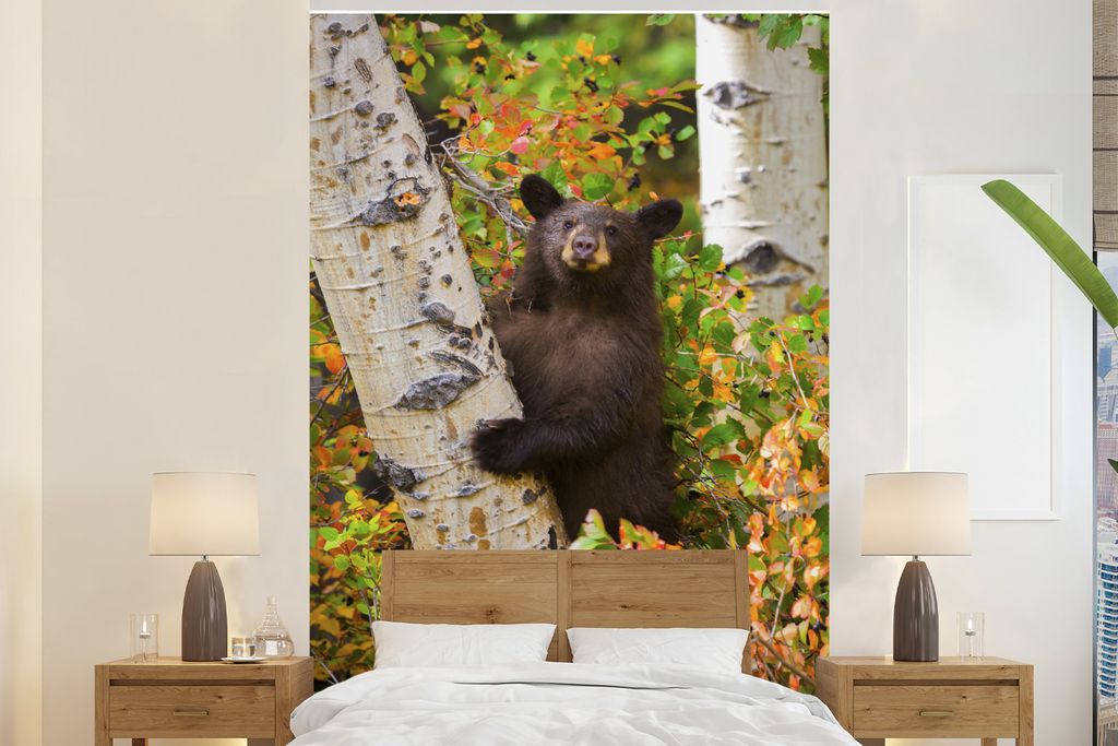 MuchoWow Fototapete für Wohnzimmer oder Schlafzimmer Wandtapete Vinyl Motivtapete Bär - Baum - Klettern - Herbst - 180x280 cm - Wallpaper