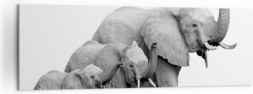 Bild auf Leinwand - Leinwandbild - Einteilig - Elefanten Familie Schwarz und Weiß - 160x50cm Wand Bild Wanddeko Wandbilder Leinwanddruck Bilder Wa...