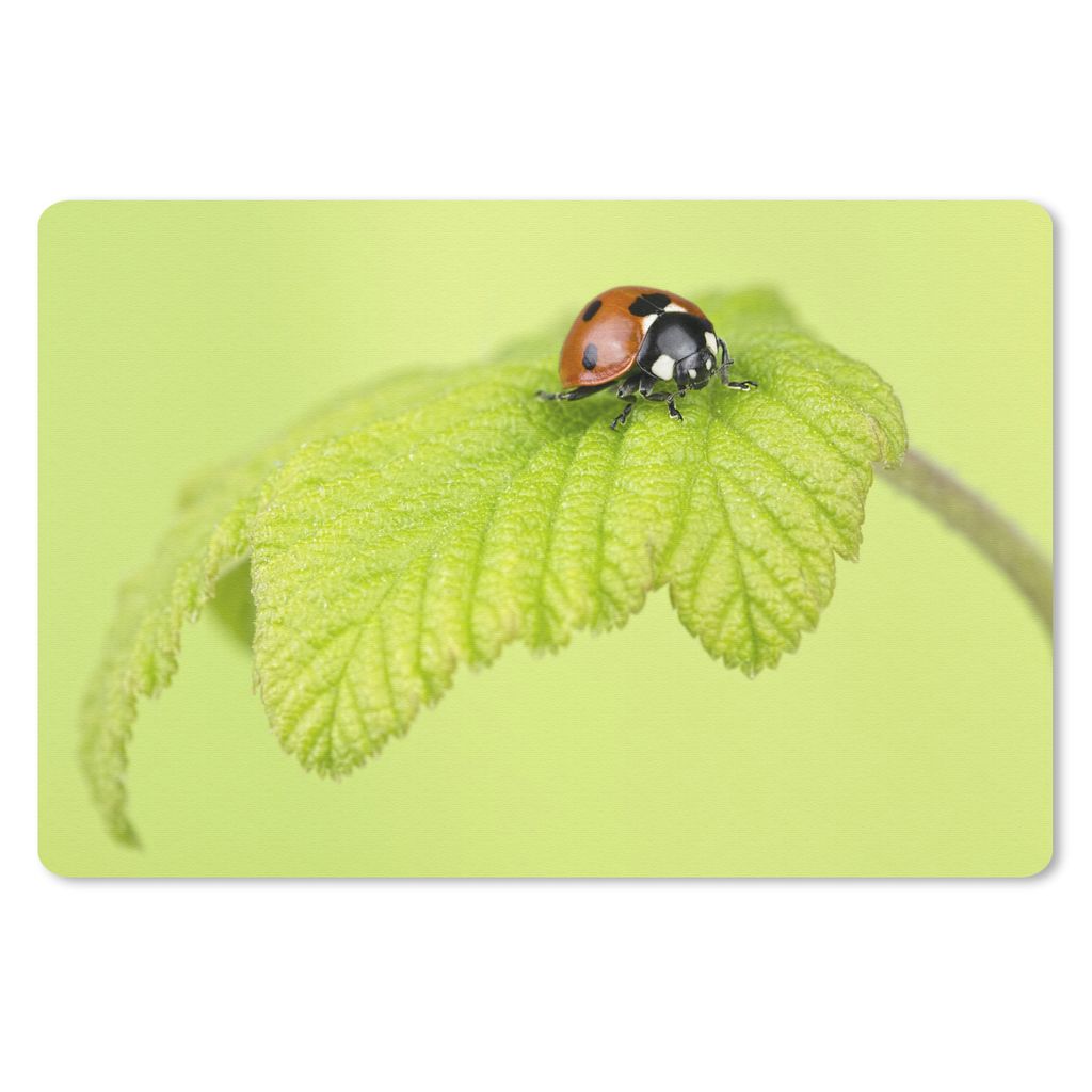 MuchoWow Mauspad Mousepad Marienkäfer grünes Blatt 27x18 cm - Mousepads - Maus Mat - Pad - Mausunterlage - Büroartikel - Desk Matten