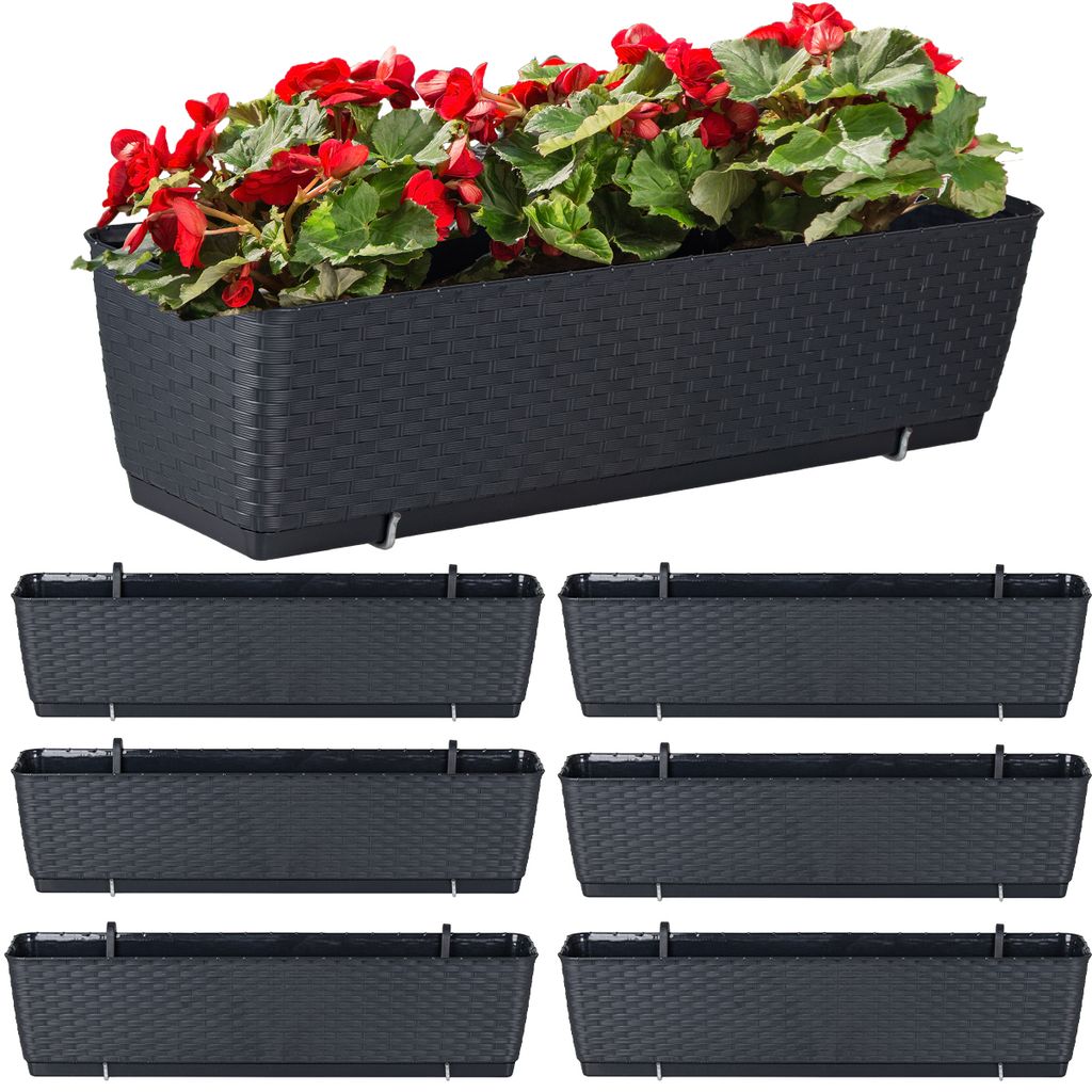 Prosperplast 6er-Set Blumentopf | Ratolla Case PW | Produktbild 