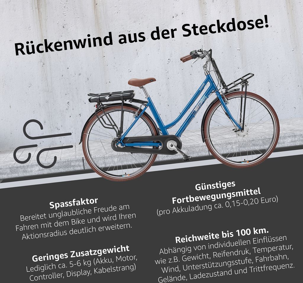 Telefunken E-Bike RT530 mit 3-Gang Shimano Nexus Produktbild 6