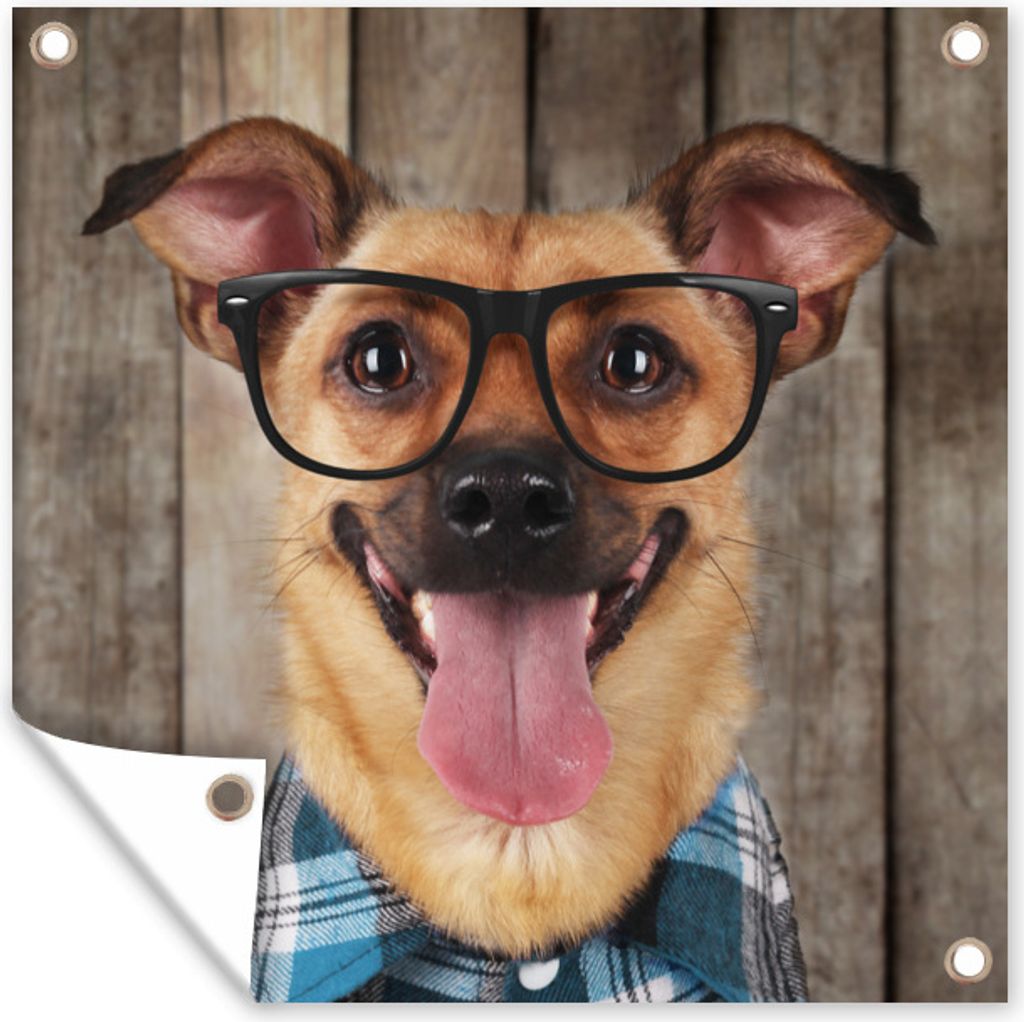 MuchoWow 50x50 cm Outdoor-Poster Gartendeko Sichtschutz Garten Poster für den Garten Hund - Brille - Bluse - Hipster