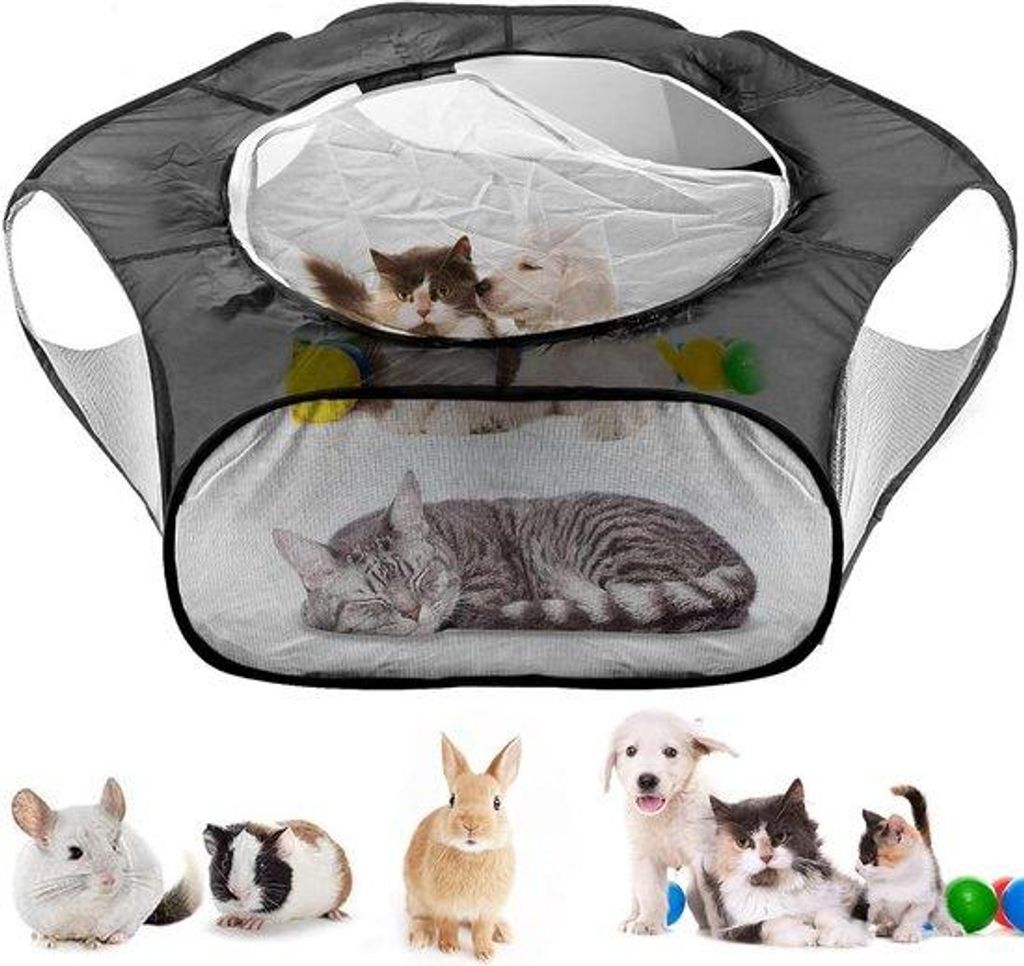 Tragbare Hundebox Mittel Größe