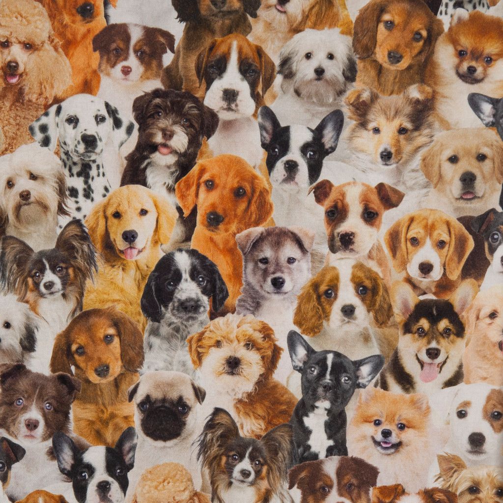 Dekostoff Halbpanama Baumwolle Hunde Welpen braun weiß schwarz 1,40m