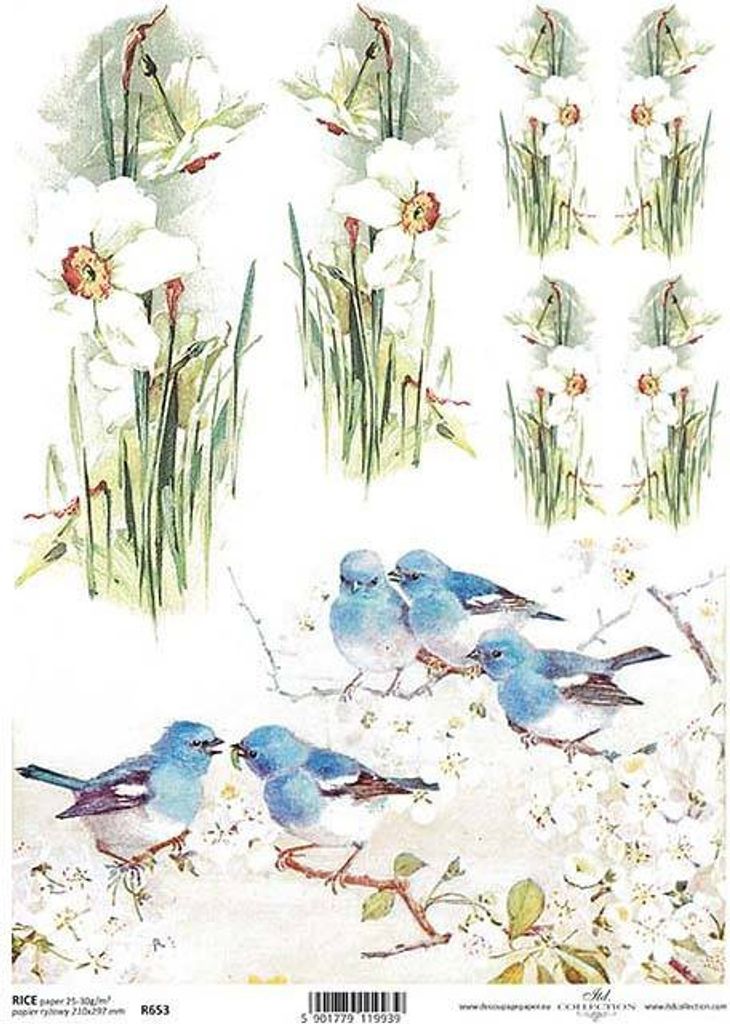 ITD Reispapier Decoupage Bastelpapier, Serviertentechnik, Narzissen, Vögel R0653