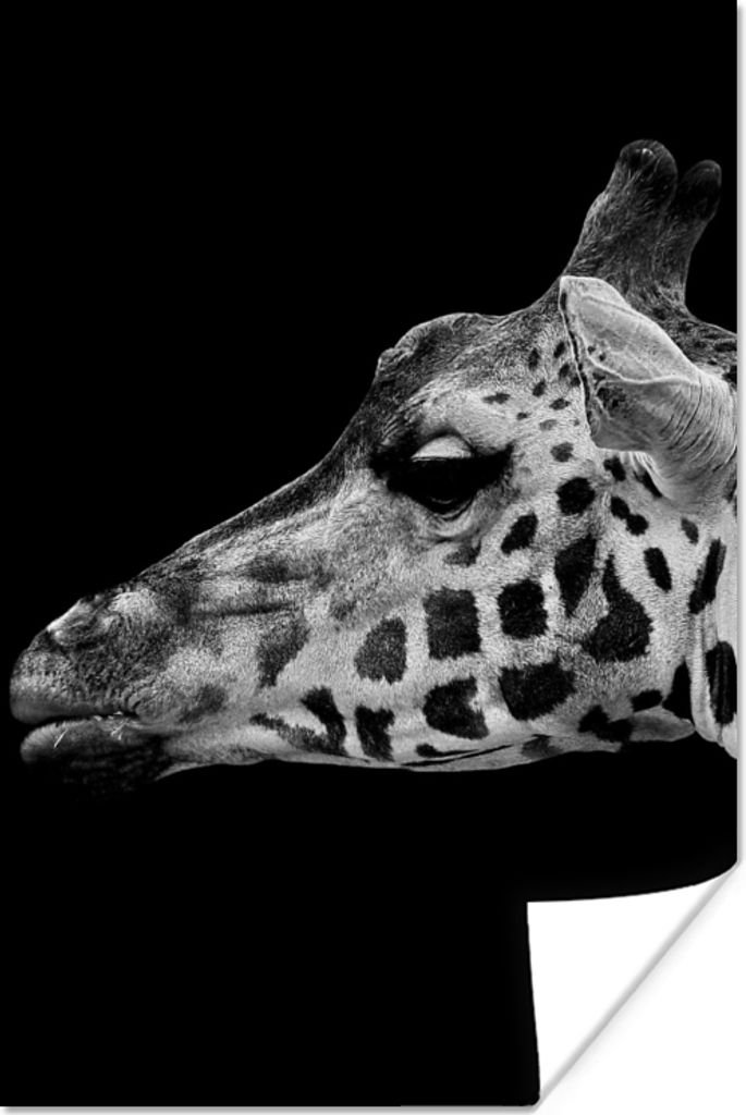 MuchoWow Poster Tiere - Giraffe - Schwarz - Weiß 40x60 cm - Plakate für die Wand - Poster Babyzimmer