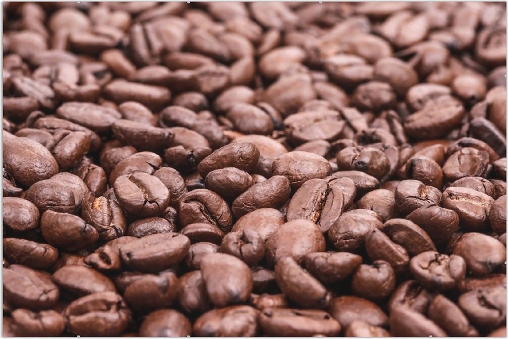 Wallario Wandbild Frisch geröstete Kaffeebohnen, Größe: 61 Produktbild 