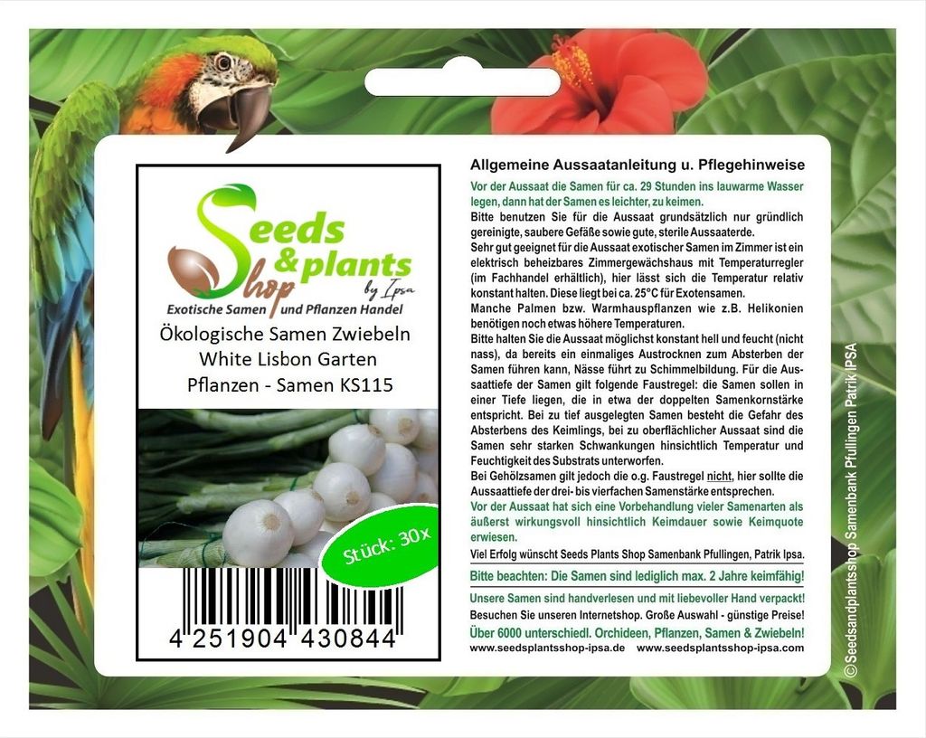30x Ökologische Samen Zwiebeln White Lisbon Garten Pflanzen - Samen KS115