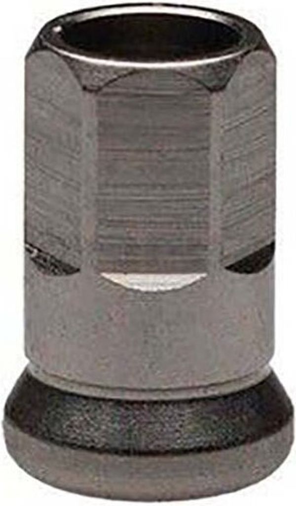 Fulcrum Racing 0 Brustwarzen 10 Einheiten Silber Silber One Size