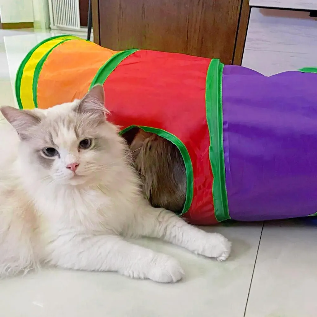 Jouet tunnel long FIGARO pour chat à structure ressort rétractable - 5