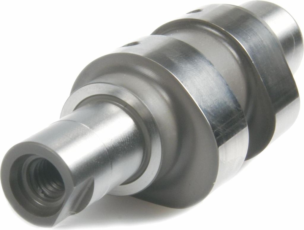 Nockenwelle Malossi Power Cam für Zylinder M3113905 für Piaggio Zip 2 50 4-Takt