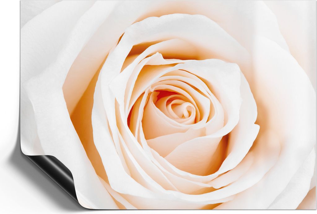 DEQORI Magnetmatte Universal 42x30 cm (A3) 'Sanfte Rosenpracht' Magnetfolie Kalender Planer