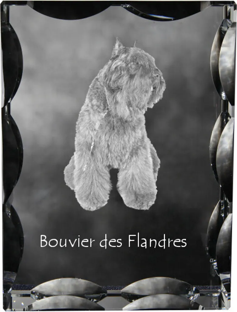 Statuetta Vetro Bouvier des Flandres - Regalo Personalizzato Art-Dog