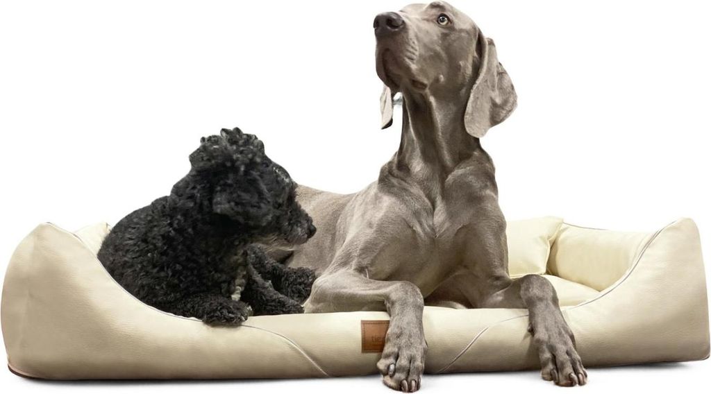 tierlando Orthopädisches Hundebett WILLIAM Easy-Clean | Luxus Hundesofa - Größe: 130x100cm | Farbe: 05 Creme