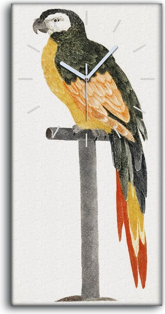 Wanduhr Bürouhr Leinwand Bild 30x60 Zeichnung Tier Vogel Papagei Kunst - weiße Hände