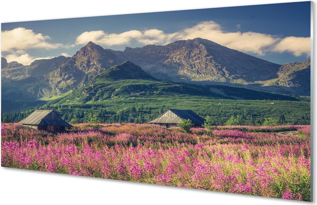 Glasbilder 120x60 Wandkunst Top-Box Häuser