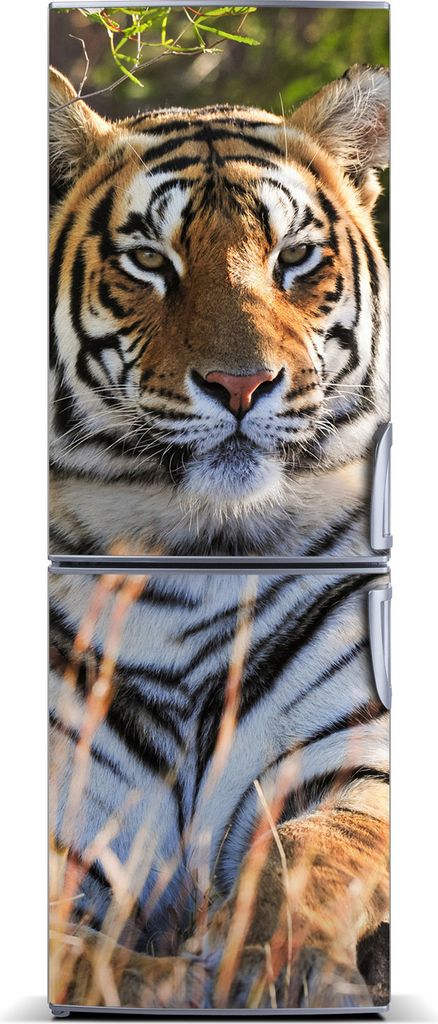 Tulup Kühlschrankdekoration - Magnetmatte - 70 cm x 190 cm - Magnet auf dem Kühlschrank - Tiger