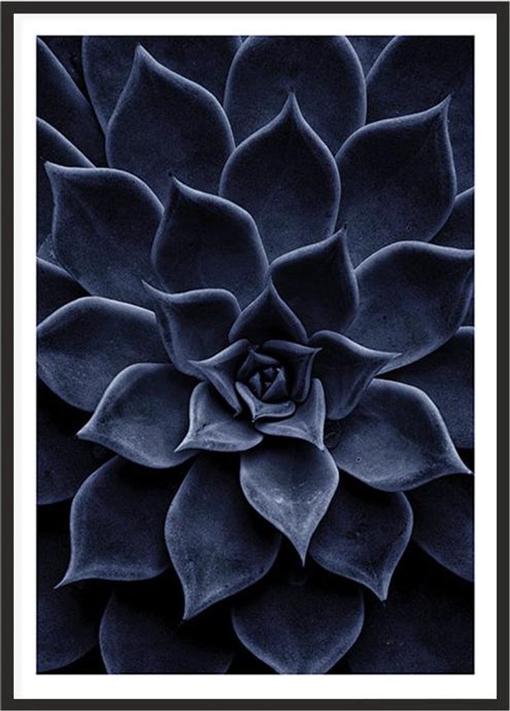 BILD, POSTER IM RAHMEN 53x73 cm Blätter P2011