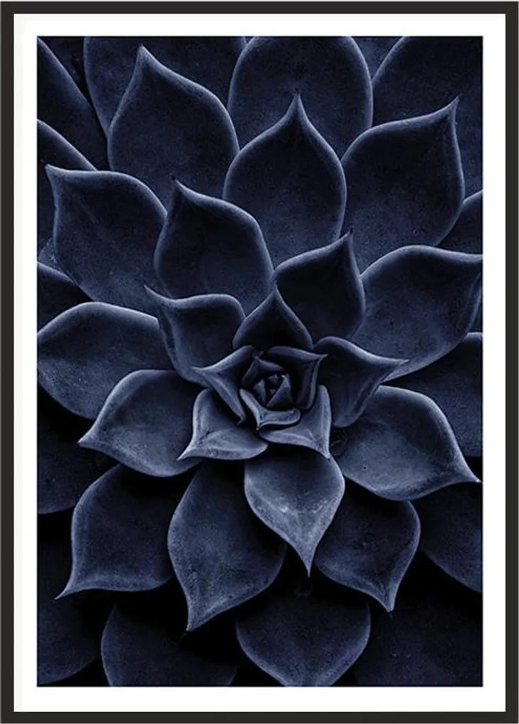 Tableau déco mural feuilles sous cadre P2011 - Grand format 53x73cm