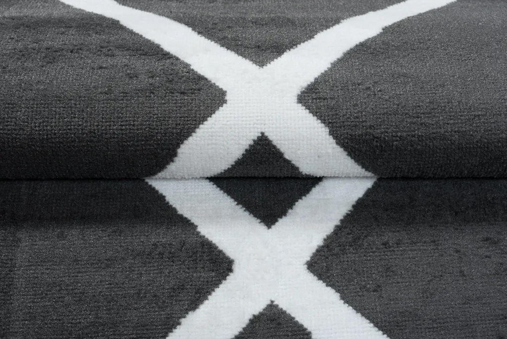 Tapis de Salon LUXURY Moderne Blanc Gris Anthracite XL - 300x400 cm - 6