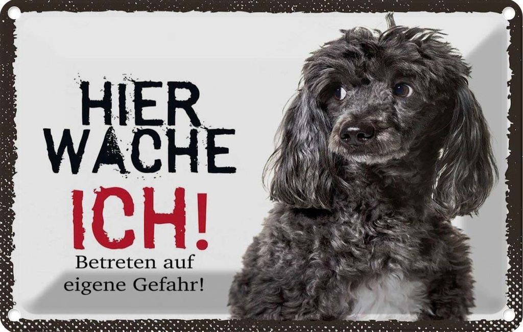 vianmo Blechschild 20x30 cm Pudel hier wache ich eigene Gefahr Hund