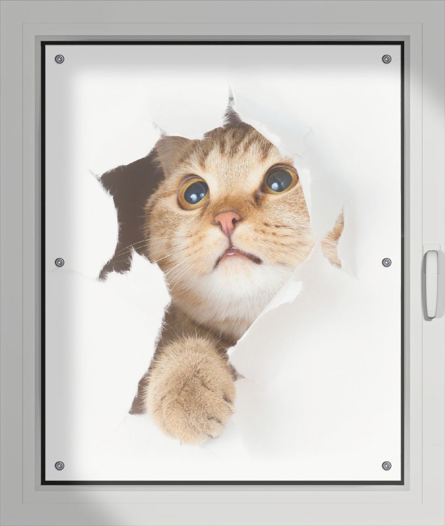 Wallario Lichtschutzbild, Dekorativer Sichtschutz Sonnenschutz 76 x 93 cm mit Motiv: Katze mit Blick nach oben - Verdunklung ohne Bohren