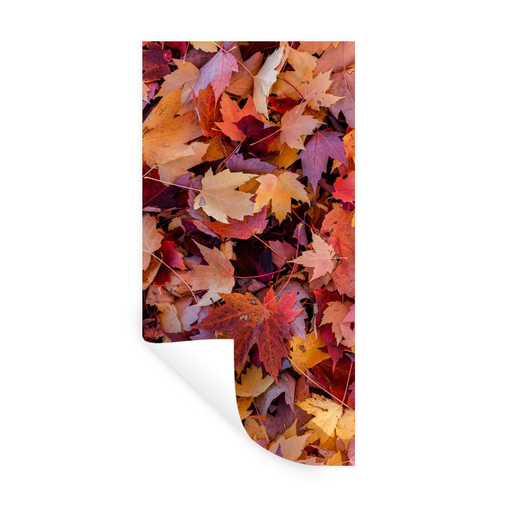 MuchoWow Wandtattoo Wandsticker Wandaufkleber Herbstblätter 20x40 cm Selbstklebend und Repositionierbar - Selbstklebend - Fototapeten