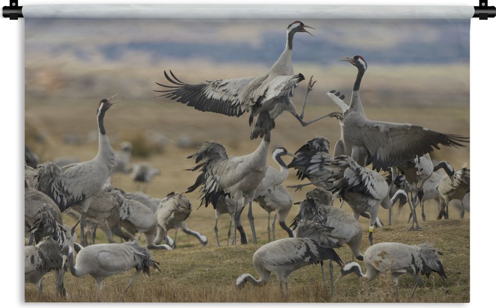 MuchoWow Wandteppich Wandbehang Anmutige europäische Kraniche in einer grünen Landschaft 120x80 cm Tapisserie Dekoration Wandtuch - Wanddekorat...
