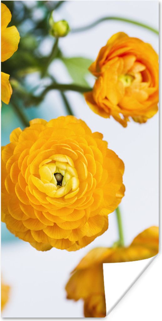 MuchoWow Poster Blumen - Draußen - Orange 75x150 cm - Dekoration für die Wände