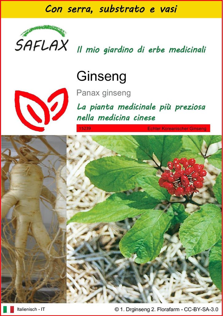 SAFLAX Insieme di coltivazione - Ginseng - 10 semi - Panax Immagine del prodotto 