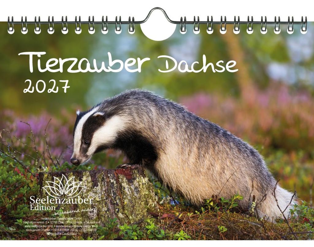 Tierzauber Dachse DIN A5 Kalender für 2027 Wald Natur Baum - Seelenzauber