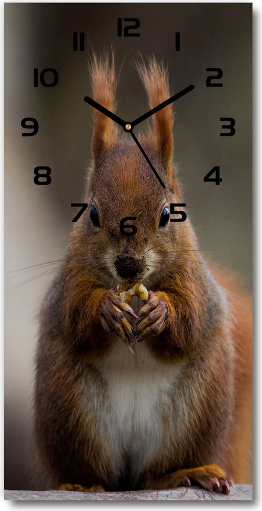 Wanduhr aus Glas – 30x60 cm - Glasbild - Glasuhr - Gehärtetes Glas -Eichhörnchen