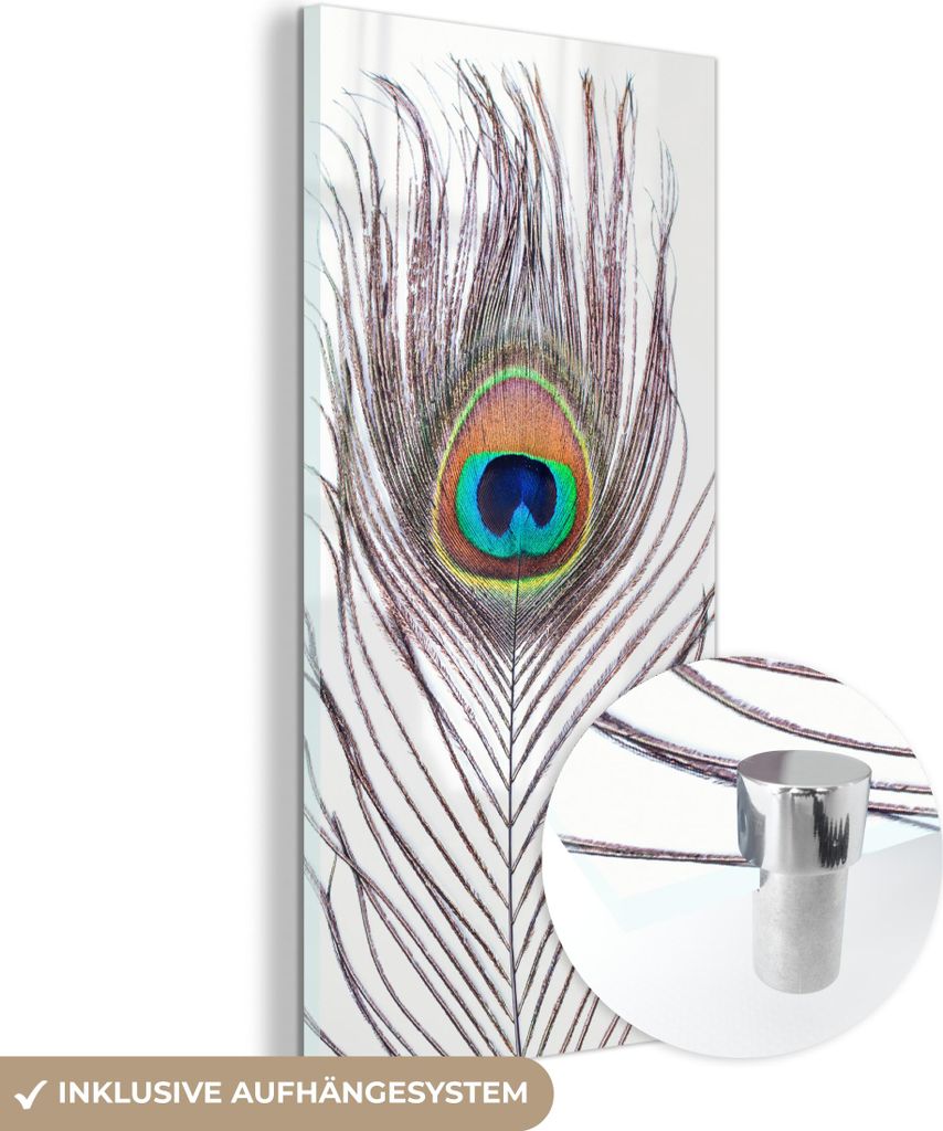 MuchoWow Glasbilder - Bilder auf Wandbild - Foto auf Glas Pfauenfedern - Blau - Feder - Pfau - Tiere 40x80 cm Wanddekoration aus Glas - Acrylglasbi...