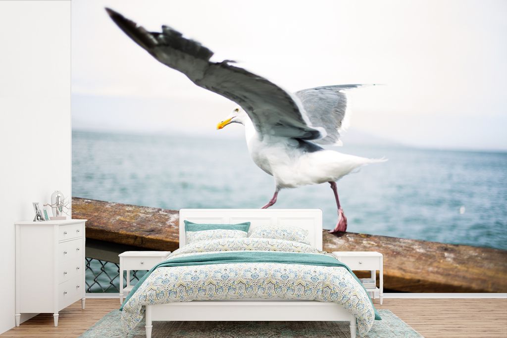 MuchoWow Fototapete für Wohnzimmer oder Schlafzimmer Wandtapete Vinyl Motivtapete Tiere - Vogel - Möwe - 525x350 cm - Das Hintergrundbild