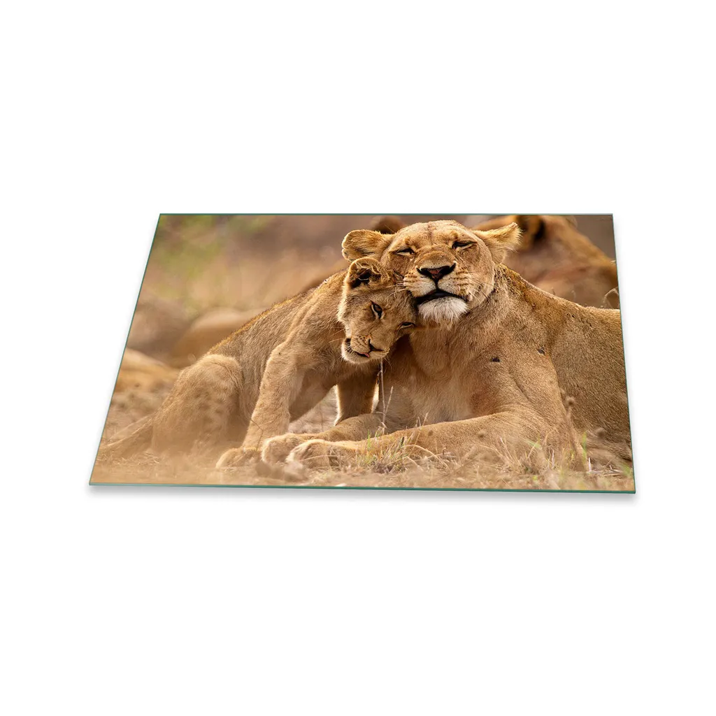 Protezione Piano Cottura Vetro 80x52 Animali Marrone - Home Decor