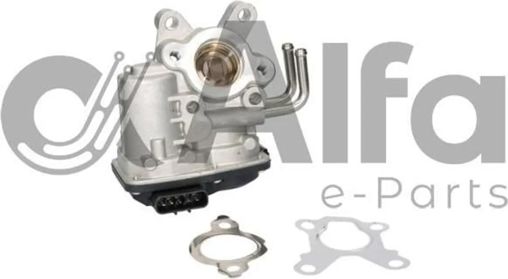 Vanne EGR pour passage au contrôle technique Nissan Pathfinder et NP300 D40