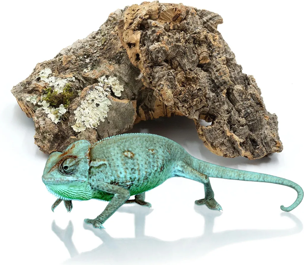 BioCork Bits: 1kg di Sughero Sardo e Corteccia per il tuo Habitat