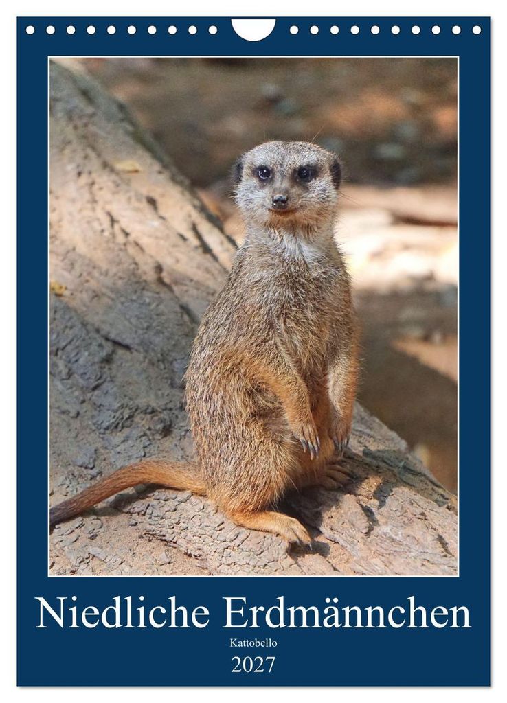 Niedliche Erdmännchen (Wandkalender 2027 DIN A4 hoch), CALVENDO Monatskalender