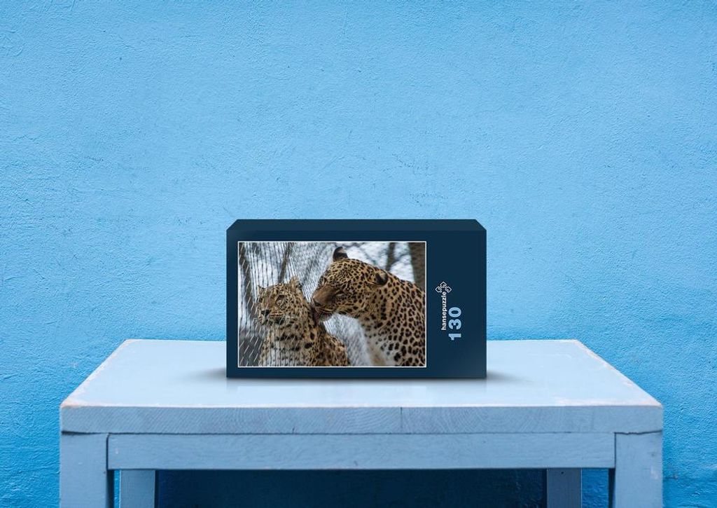 hansepuzzle 70584 - Leopard Puzzle, 130 Teile, Tierwelt, 28,7 x 20,0cm mit hochwertiger Aufbewahrung, Kartonbox und wiederverschließbarem Beutel