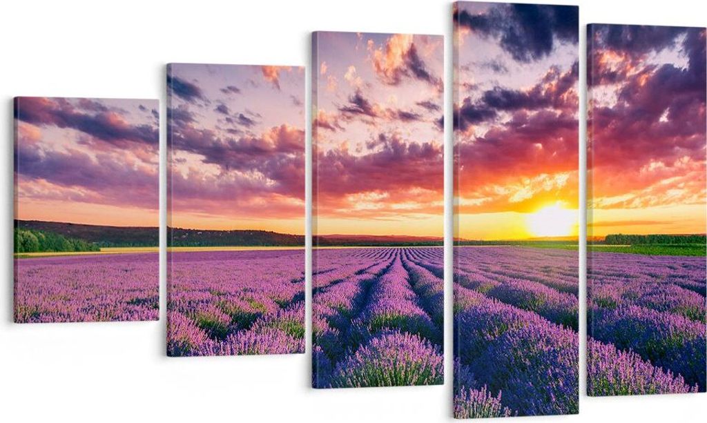 Bild auf Leinwand - Leinwandbild - Lavendel Berge Feld - 100x60cm - Wand Bild - Wanddeko - Leinwanddruck - Bilder - Kunstdruck - Wanddekoration - L...