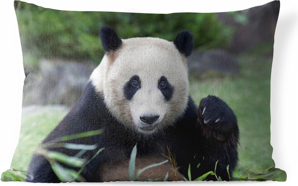 MuchoWow Outdoor Kissen - Großer Panda - Gras - Steine - 60x40 cm - Wetterfest - Lounge Kissen - Zierkissen - Kissen für Innenräume