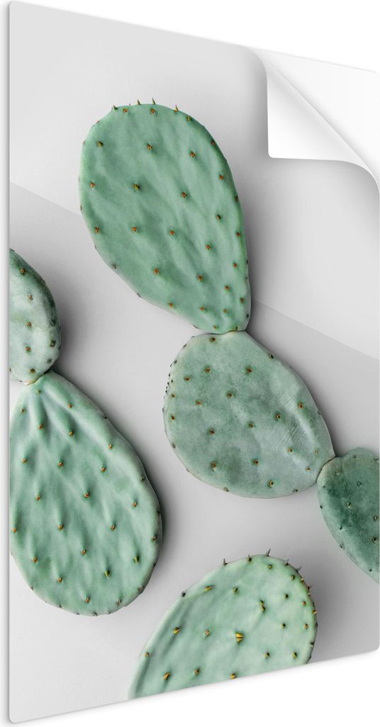 SpaceRebels Bilder Wandsticker 40x60 - Wanddeko Pflanzen Kaktus - Selbstklebende Wandtattoo Wandsticker - Modernes Bild auf PVC-Folie - Wandbild Wo...