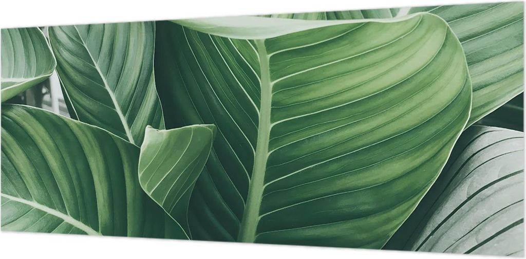 Wandtapete - Dekorative Tapete für Wohnzimmer- Tapetenfolie für Wanddekoration - 208x146 cm - Grüner Frieden