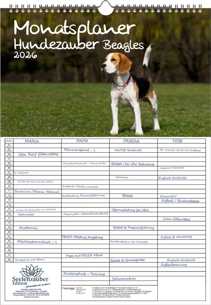 Hundezauber Beagles Planer Familienplaner 4 Spaltenplaner DIN A3 Kalender für 2026 Welpen und Hunde - Seelenzauber
