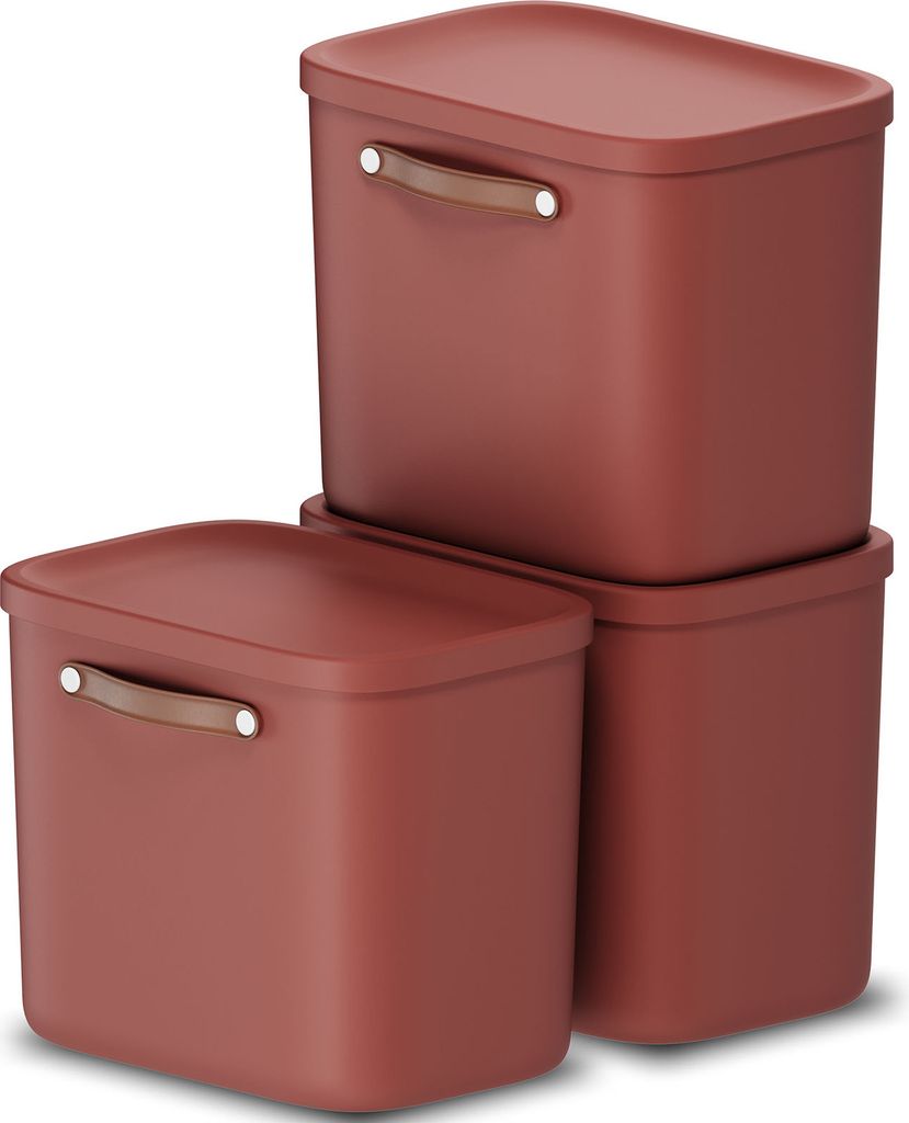 Rotho Aufbewahrungsbox 3er-Set 25L Maloja - Kunststoffbox 40 x 23,5 x 34 cm - Box mit Deckel - Stapelbox sicher verschließbar - Plastikbox