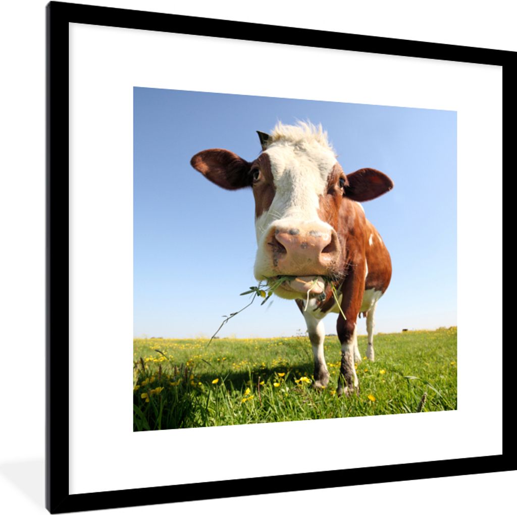 MuchoWow Gerahmtes Poster Kuh - Tiere - Blumen - Gras 40x40 cm - Poster mit Schwarzem Bilderrahmen Wandposter Rahmen Foto Bilder - Poster - Plaka...