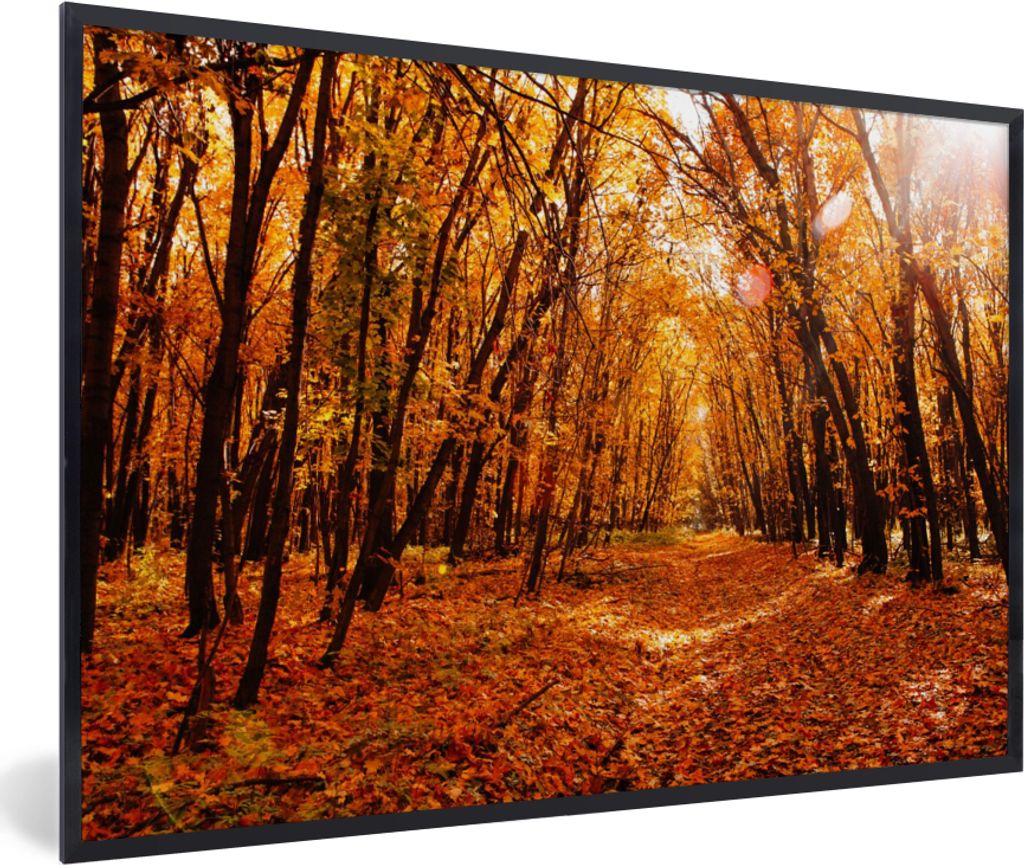 MuchoWow Gerahmtes Poster Herbst - Wald - Laub - Jahreszeiten 90x60 cm - Poster mit Schwarzem Bilderrahmen Wandposter Rahmen Foto Bilder - Fotora...