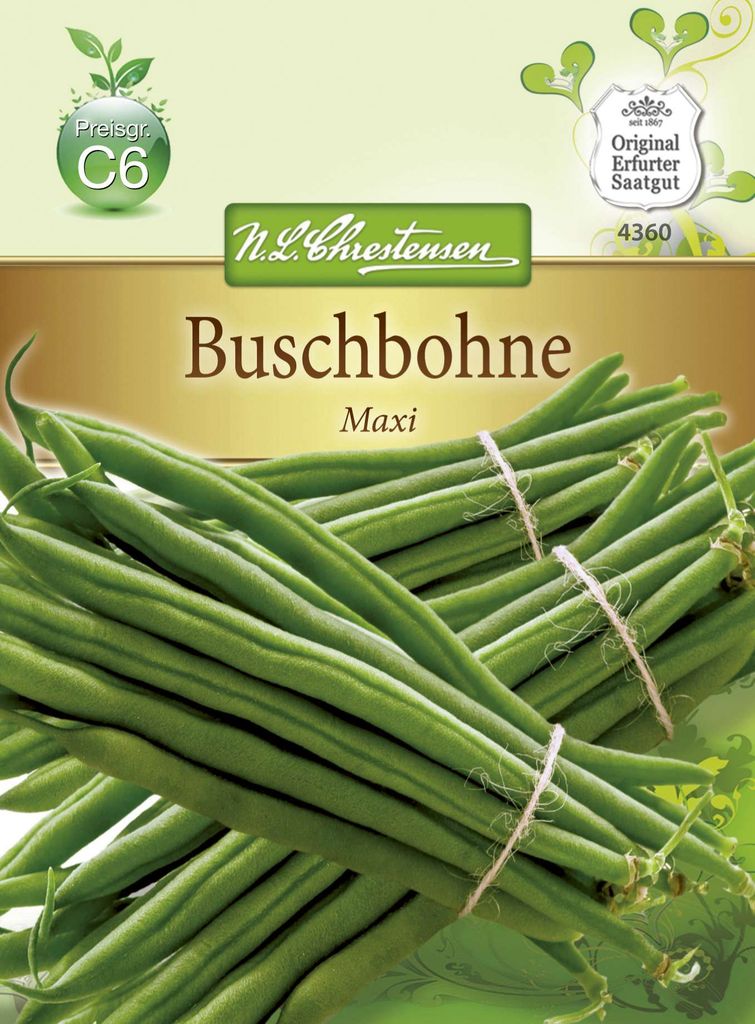 Buschbohne Maxi Gluckentyp | Buschbohnensamen von N.L. Produktbild 